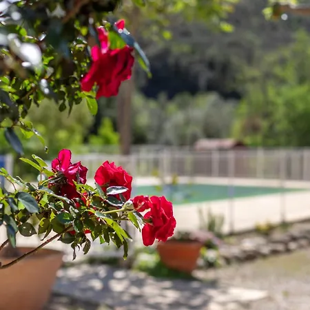 5 Entre 2 Et 4 Personne Holiday home *